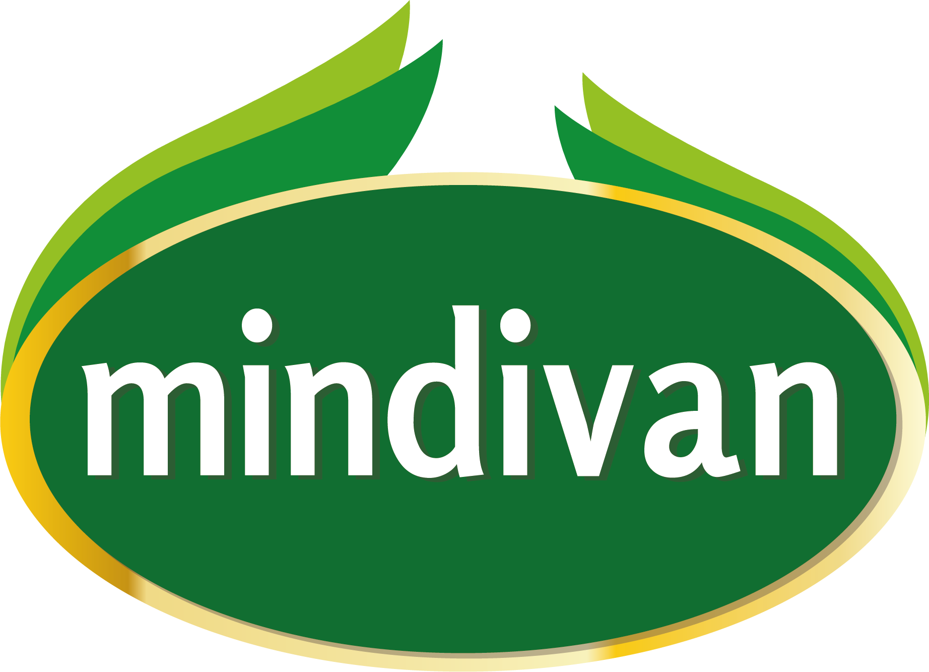 Mindivan